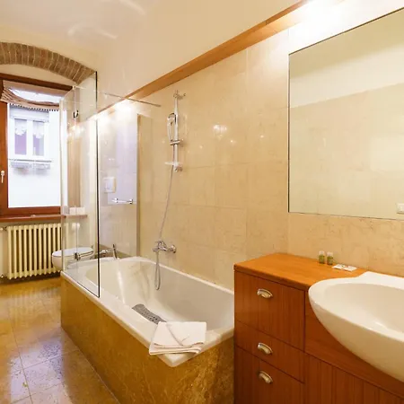 Domus - Elegante Residenza Satiro Apartment *